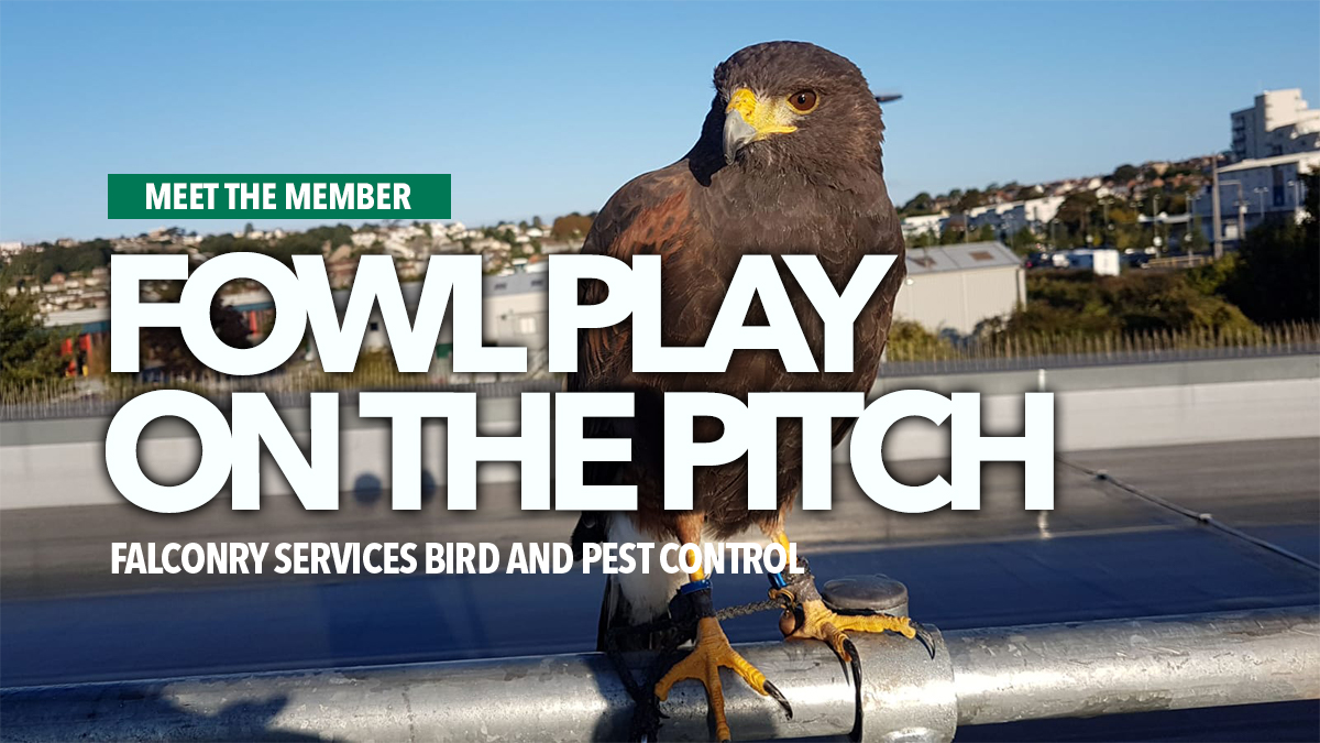 Fowl play falconry services bird and pest control